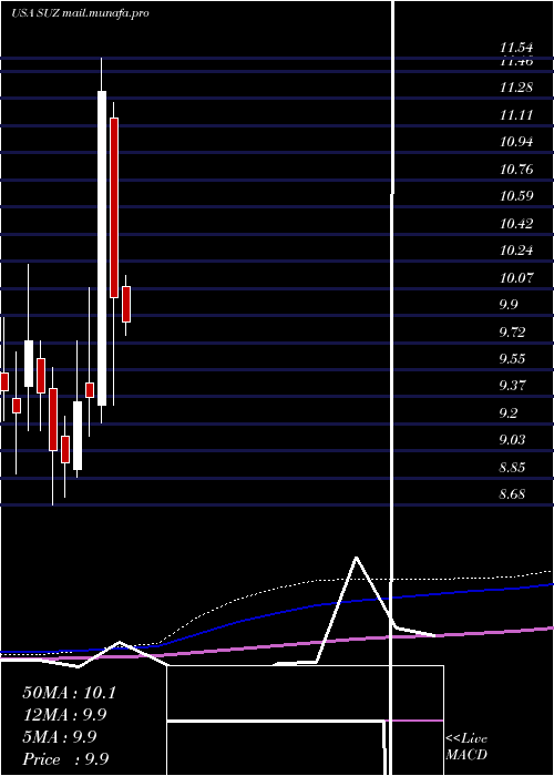  monthly chart SuzanoPapel