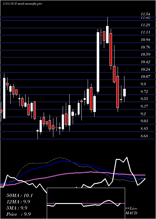  weekly chart SuzanoPapel