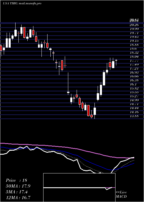  Daily chart ThunderBridge