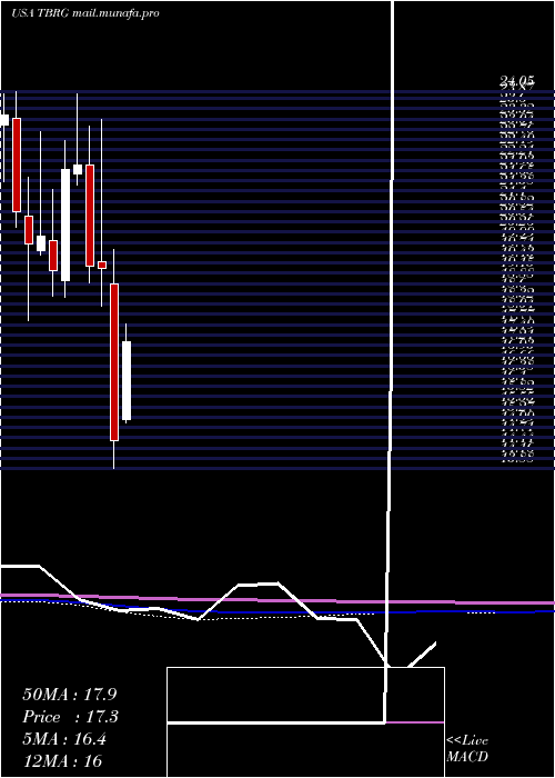  monthly chart ThunderBridge