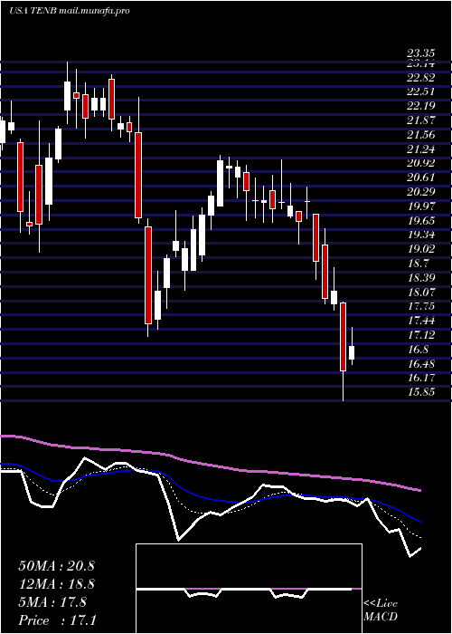  Daily chart TenableHoldings