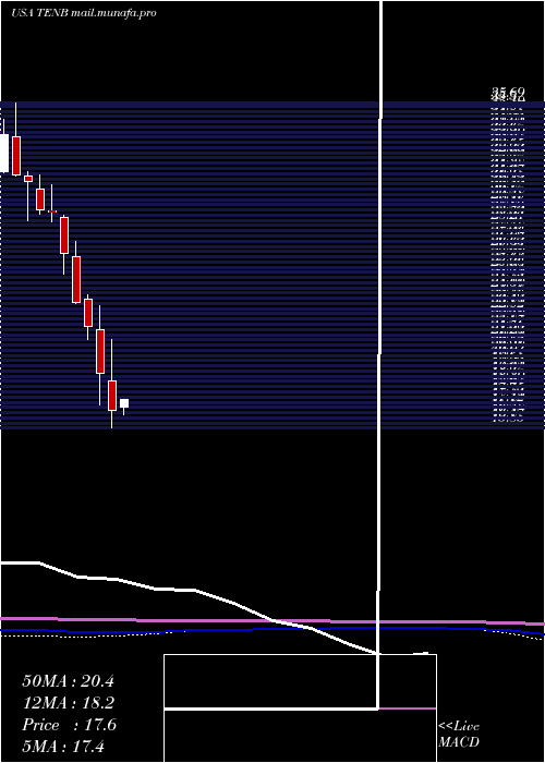  monthly chart TenableHoldings