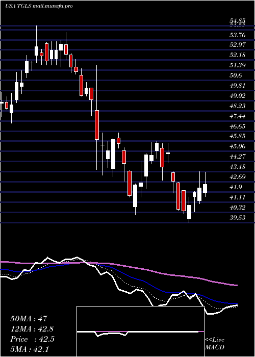  Daily chart TecnoglassInc