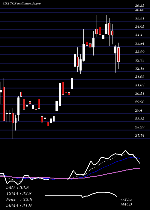  Daily chart TransportadoraDe
