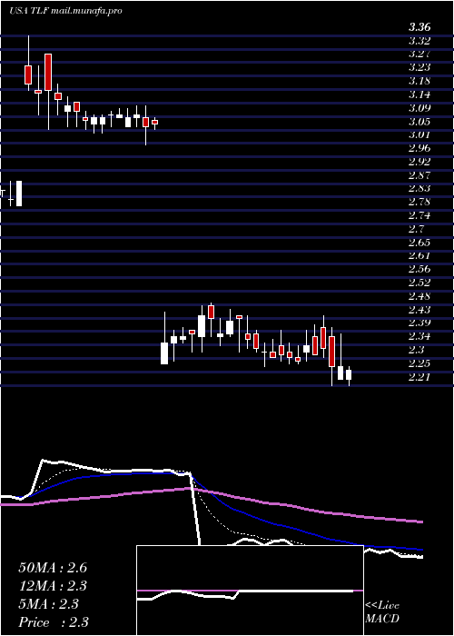  Daily chart TandyLeather