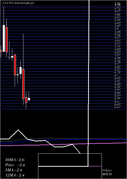  monthly chart TandyLeather