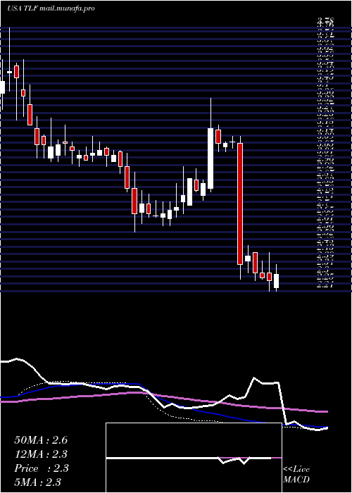  weekly chart TandyLeather