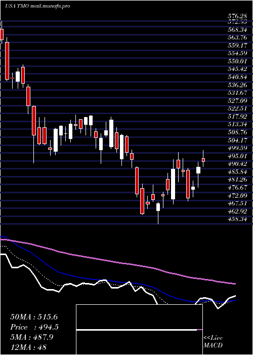  Daily chart ThermoFisher