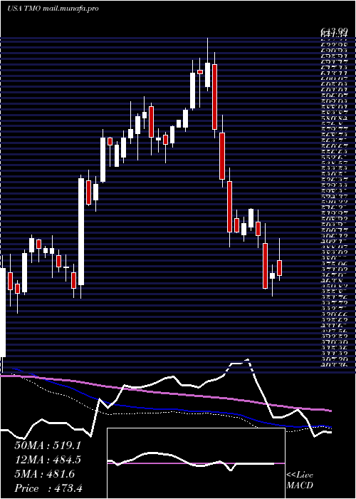  weekly chart ThermoFisher