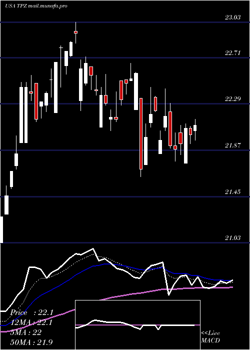  Daily chart TortoisePower