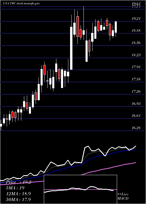  Daily chart TejonRanch