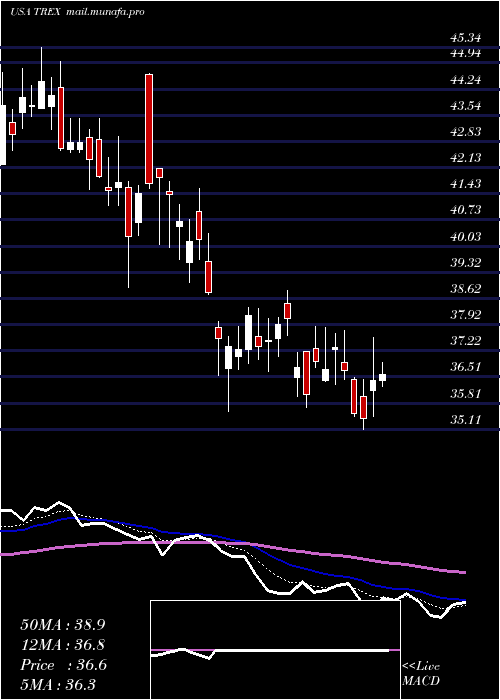  Daily chart TrexCompany