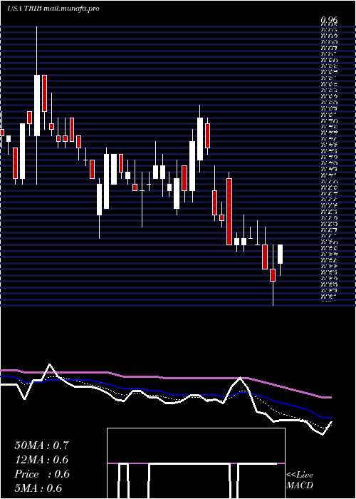  Daily chart TrinityBiotech