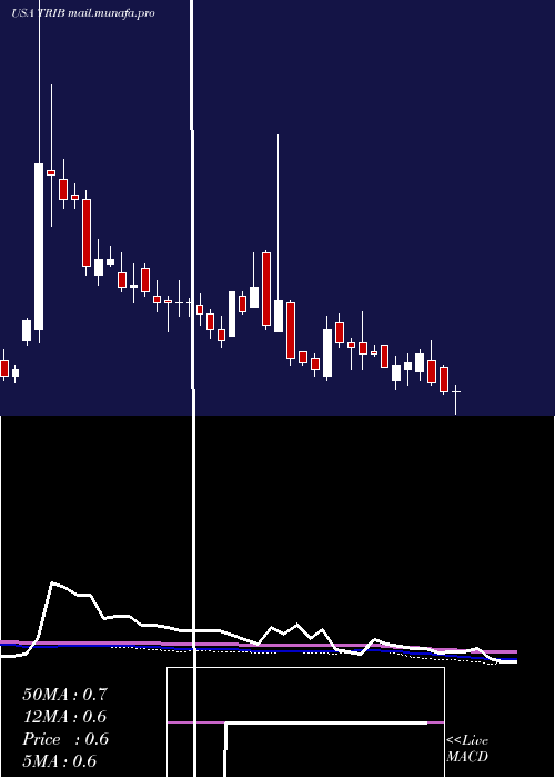  weekly chart TrinityBiotech