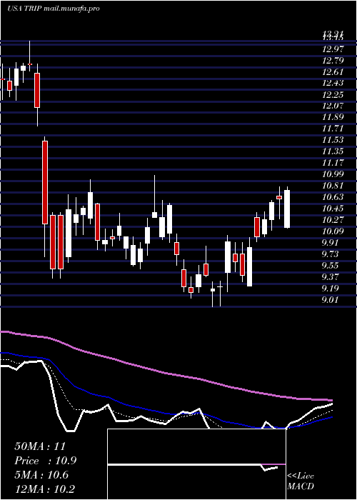  Daily chart TripadvisorInc