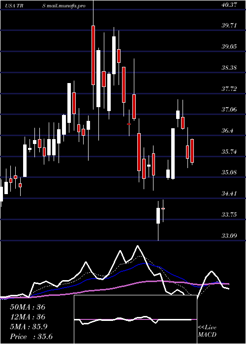  Daily chart TrimasCorporation