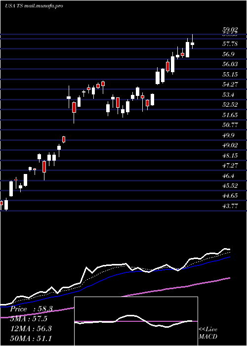  Daily chart TenarisS