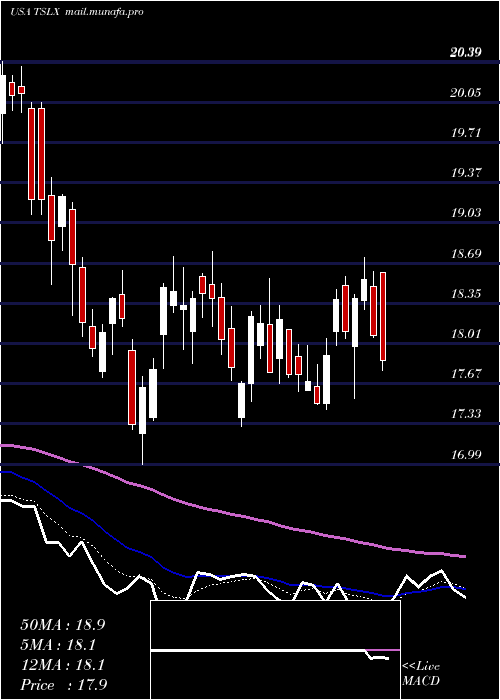  Daily chart TpgSpecialty