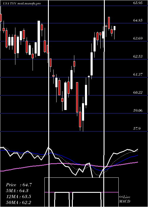  Daily chart TysonFoods