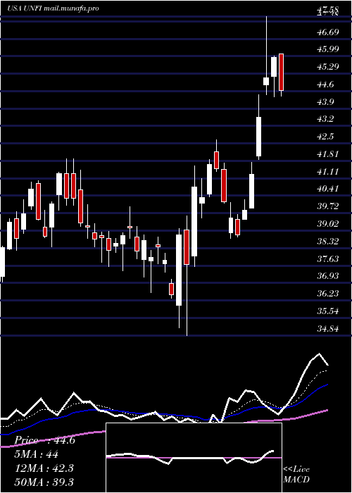  Daily chart UnitedNatural