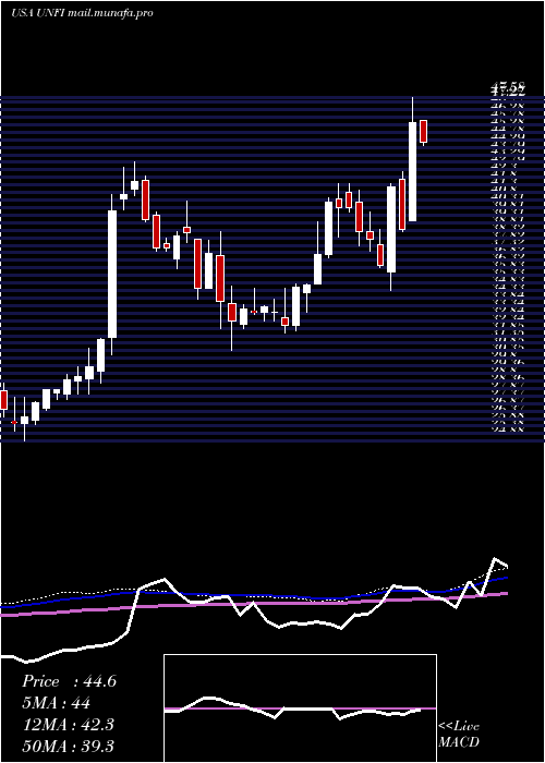  weekly chart UnitedNatural