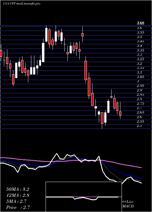  Daily chart VillageFarms