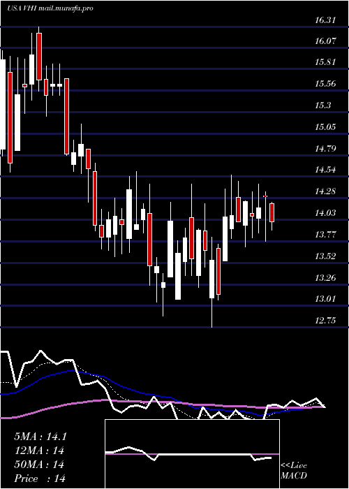  Daily chart ValhiInc