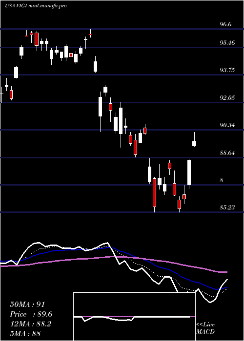  Daily chart VanguardInternational