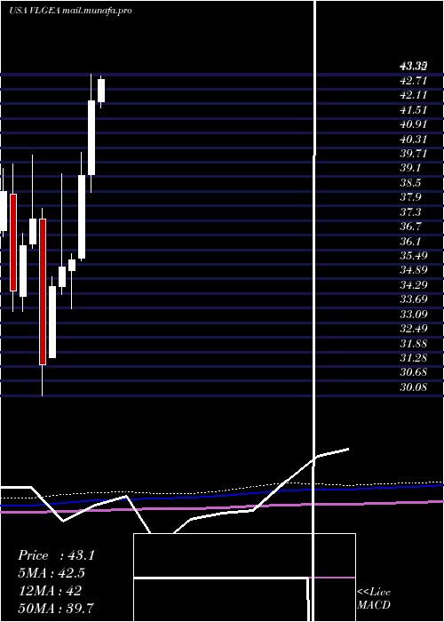  monthly chart VillageSuper