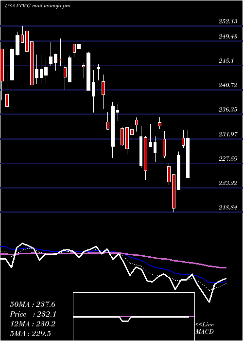  Daily chart VanguardRussell