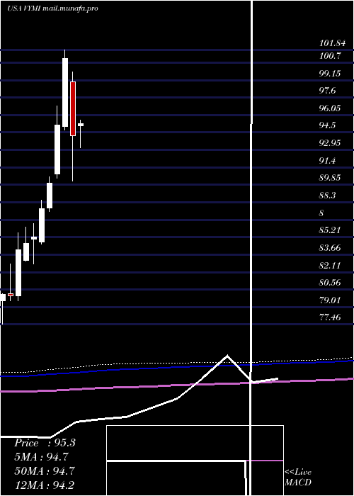  monthly chart VanguardInternational