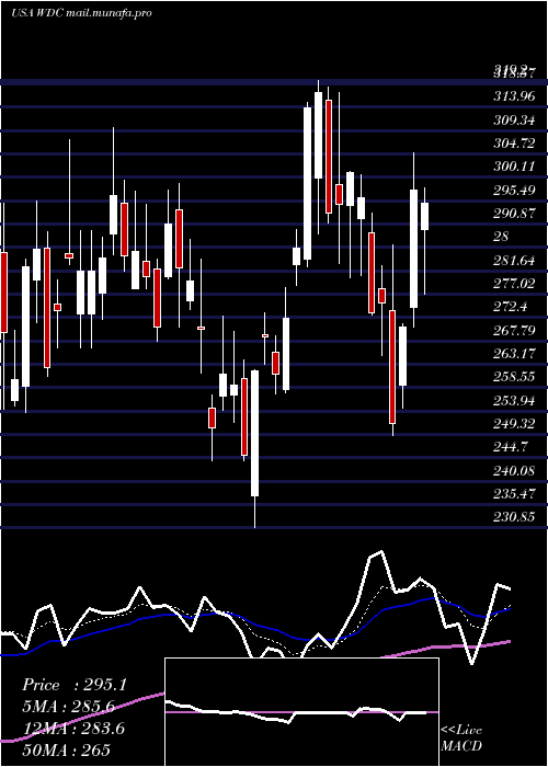  Daily chart WesternDigital