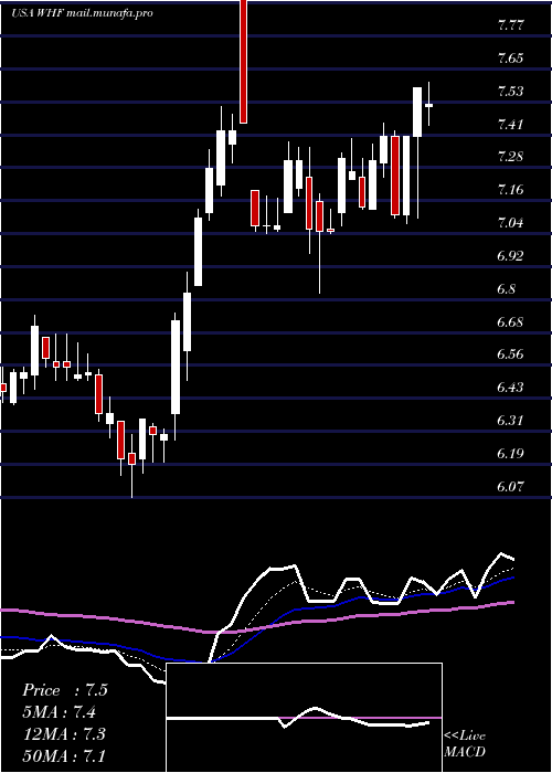  Daily chart WhitehorseFinance