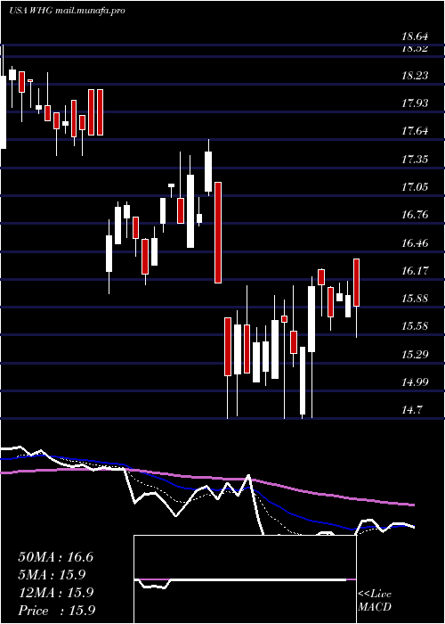  Daily chart WestwoodHoldings
