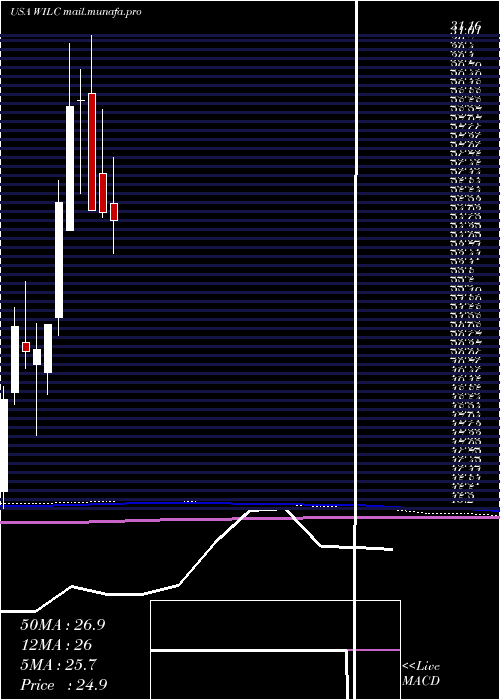  monthly chart GWilli