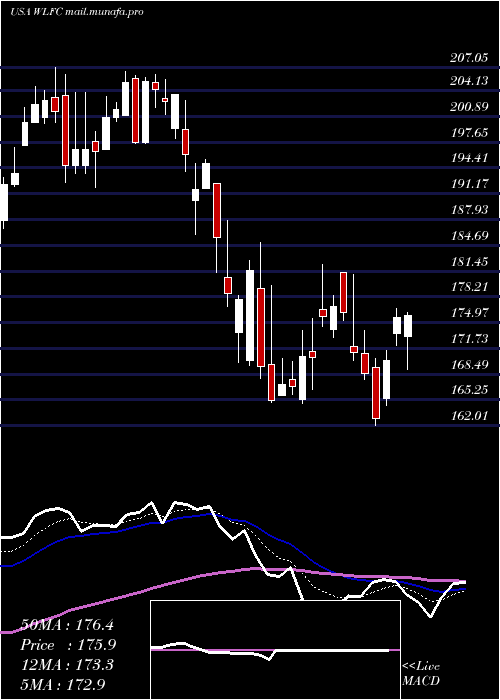  Daily chart WillisLease