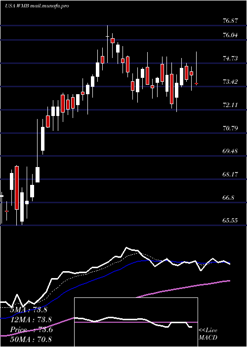  Daily chart WilliamsCompanies