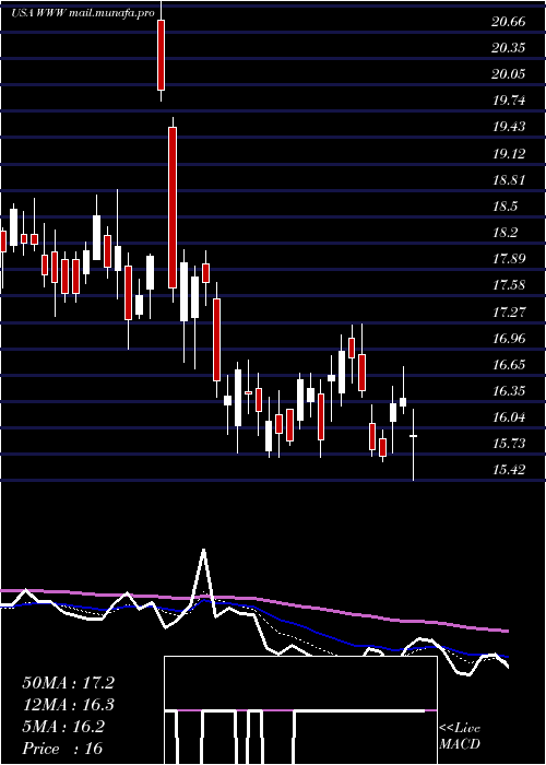  Daily chart WolverineWorld