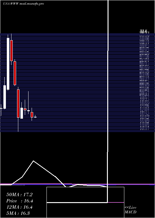  monthly chart WolverineWorld