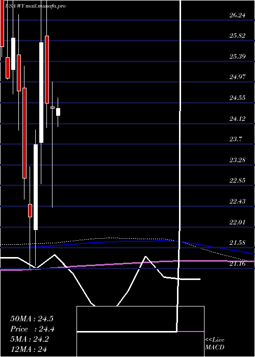  monthly chart WeyerhaeuserCompany