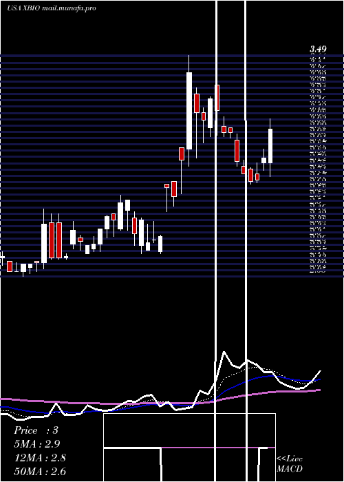  Daily chart XeneticBiosciences