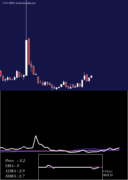  weekly chart XeneticBiosciences