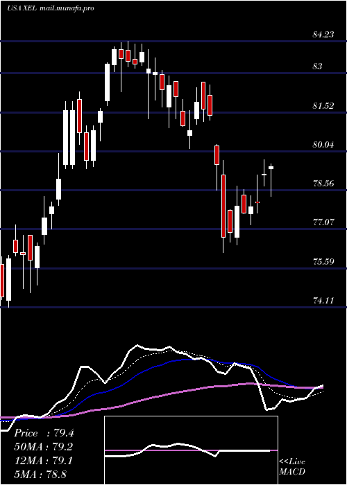  Daily chart XcelEnergy