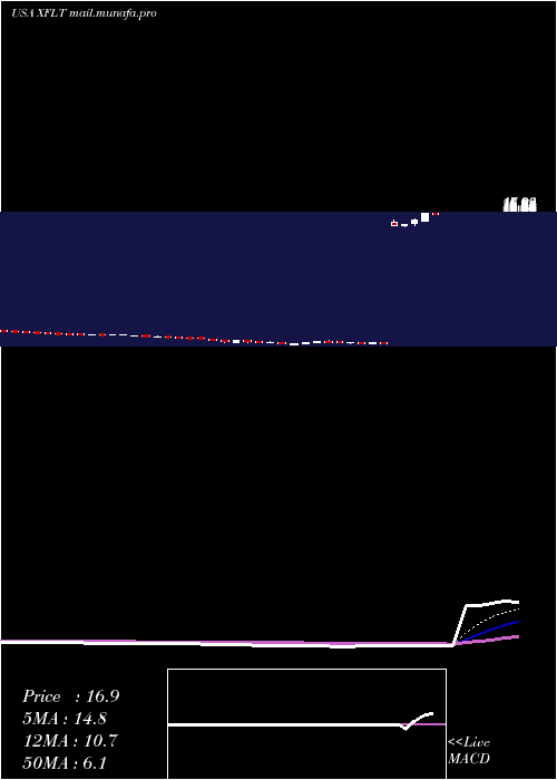  Daily chart XaiOctagon