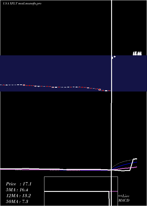  weekly chart XaiOctagon