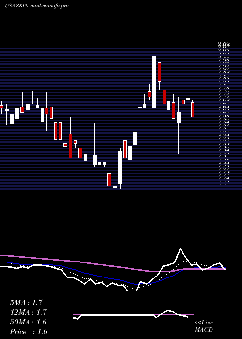  Daily chart ZkInternational