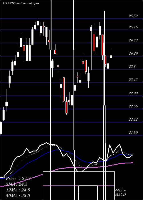  Daily chart ZtoExpress