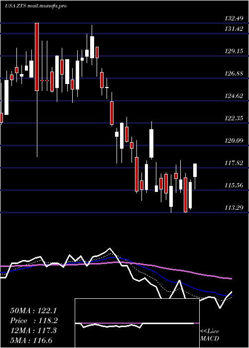  Daily chart ZoetisInc
